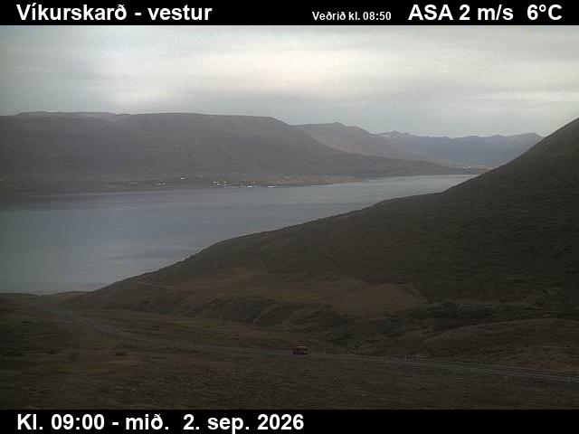 vikurskard_1-1788346906.jpg