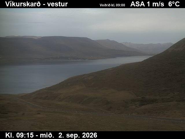 vikurskard_1-1788348357.jpg