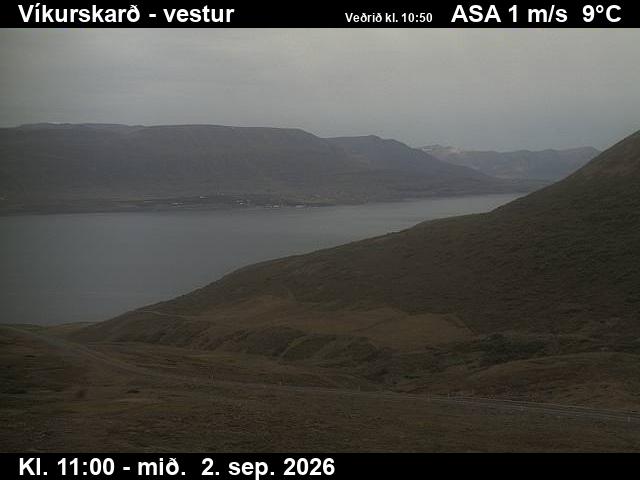 vikurskard_1-1788354160.jpg
