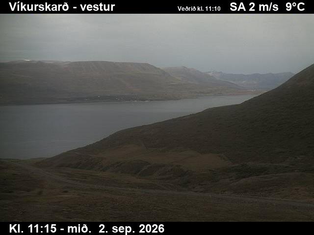 vikurskard_1-1788355529.jpg