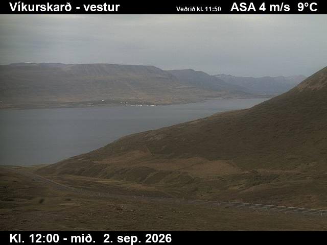 vikurskard_1-1788357656.jpg