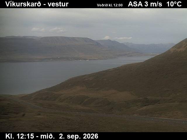 vikurskard_1-1788359137.jpg