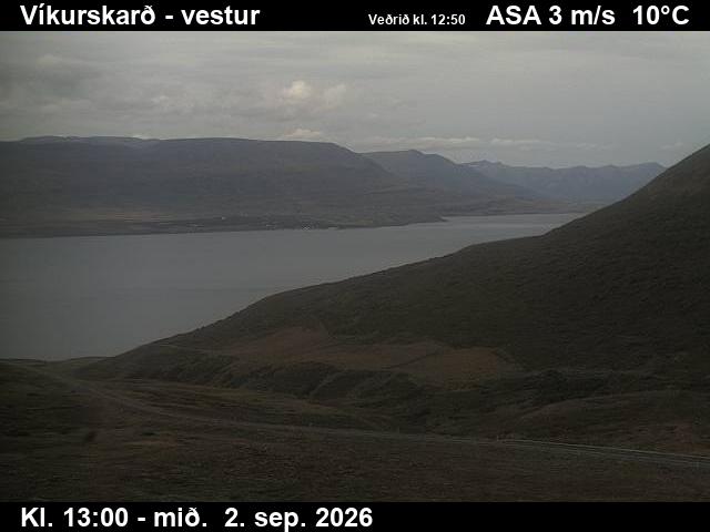 vikurskard_1-1788361253.jpg