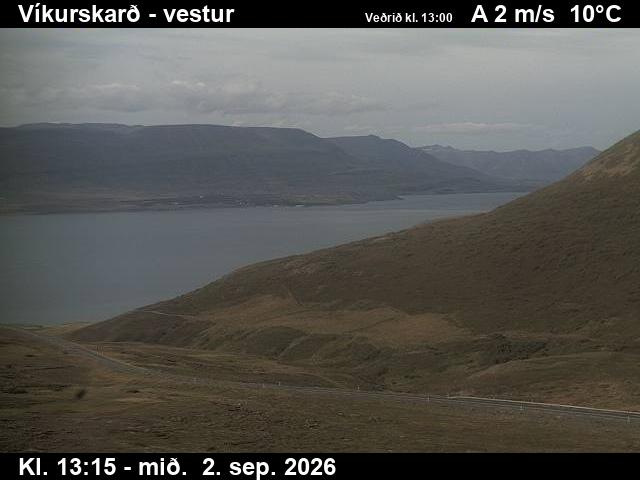 vikurskard_1-1788362747.jpg