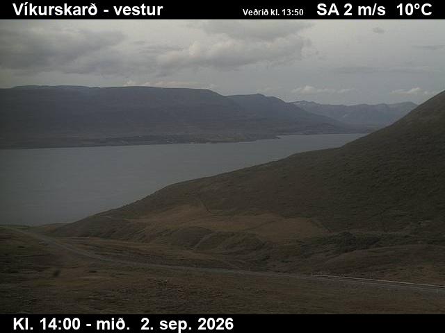 vikurskard_1-1788364877.jpg