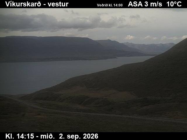 vikurskard_1-1788366384.jpg
