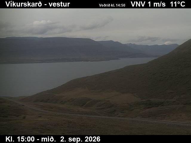 vikurskard_1-1788368448.jpg
