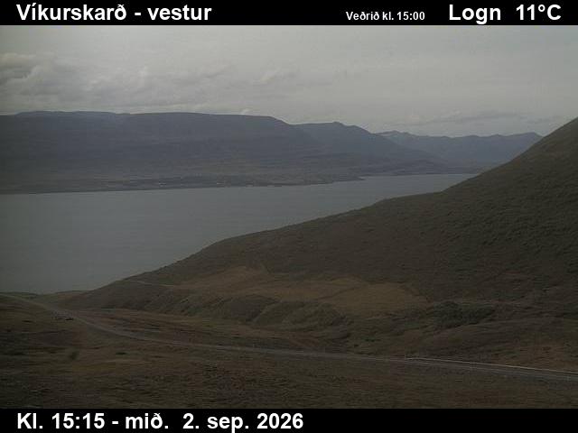 vikurskard_1-1788369944.jpg