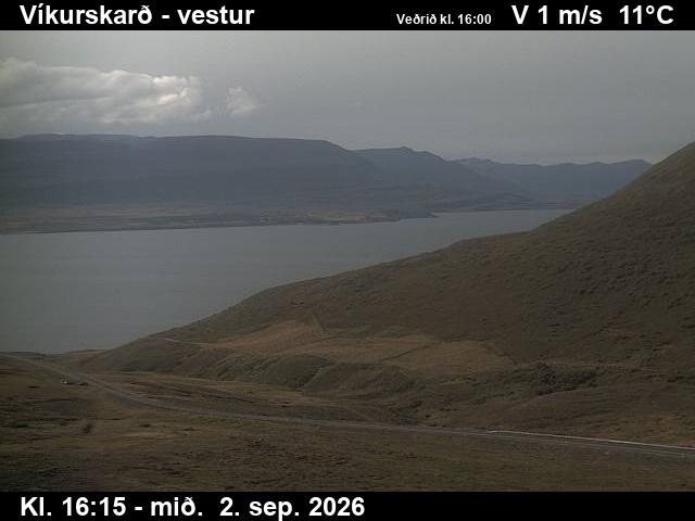 vikurskard_1-1788373536.jpg