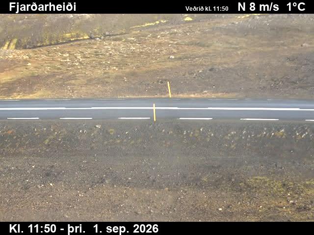 fjardarheidi_2-1788271229.jpg