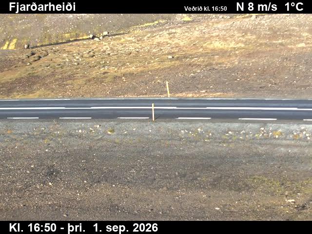fjardarheidi_2-1788289292.jpg