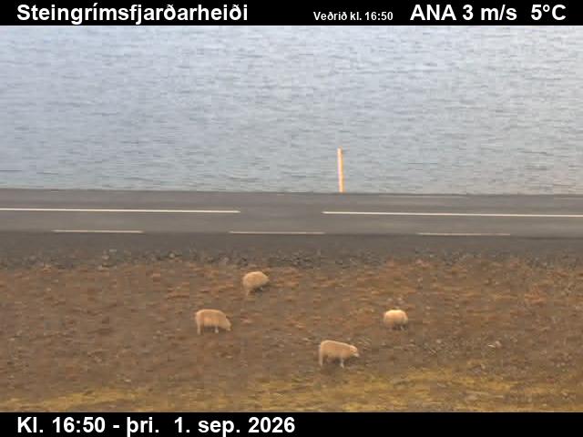 steingrimsfjheidi_2-1788289289.jpg