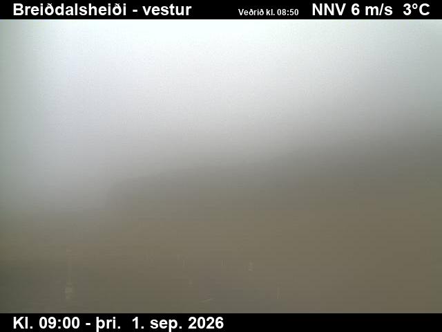breiddalsheidi_1-1788260484.jpg