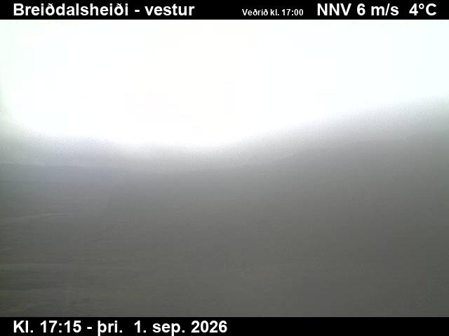 breiddalsheidi_1-1788290730.jpg