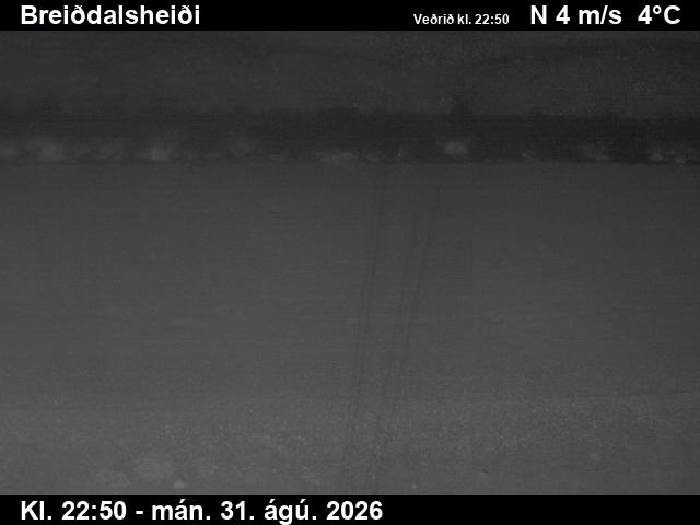 breiddalsheidi_2-1788224584.jpg
