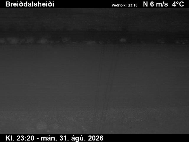 breiddalsheidi_2-1788225932.jpg