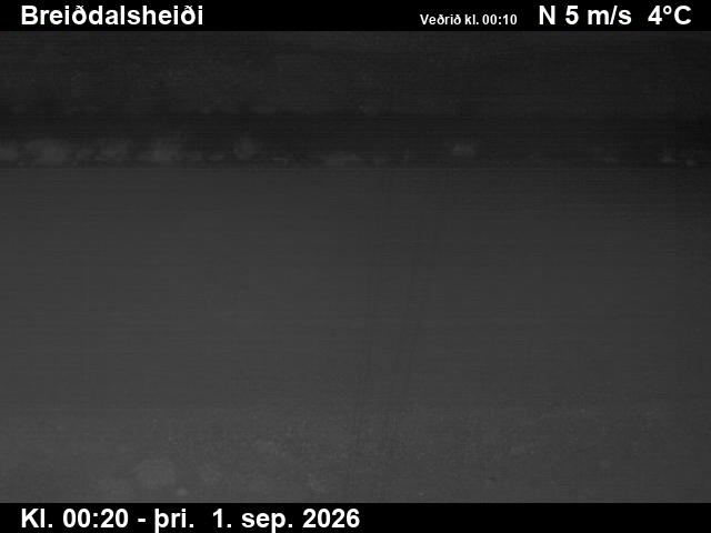 breiddalsheidi_2-1788229527.jpg