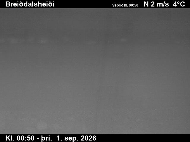breiddalsheidi_2-1788231663.jpg