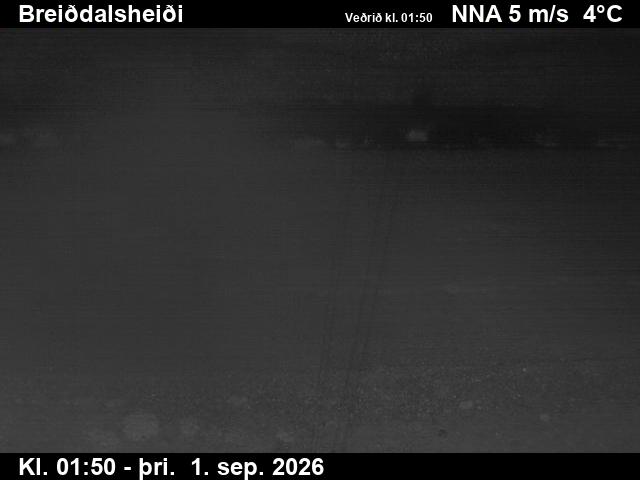 breiddalsheidi_2-1788235240.jpg
