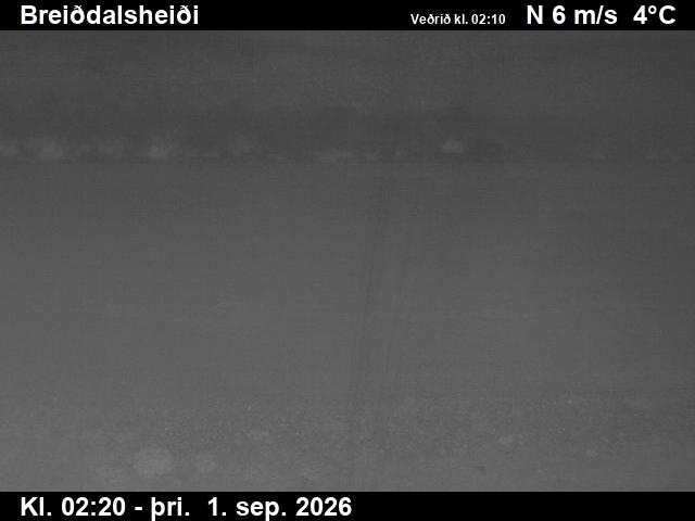 breiddalsheidi_2-1788236772.jpg