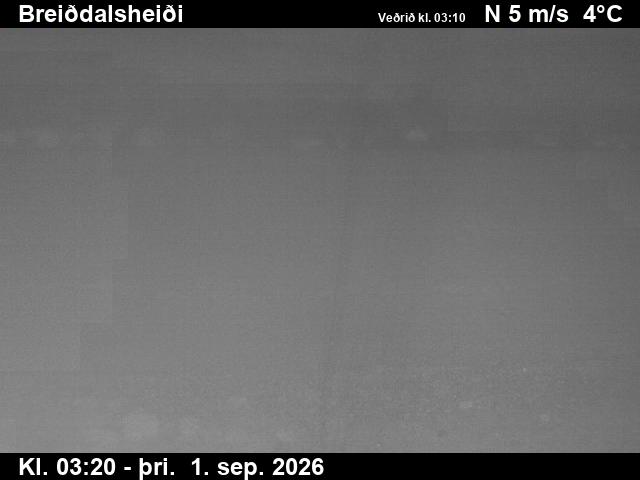 breiddalsheidi_2-1788240332.jpg