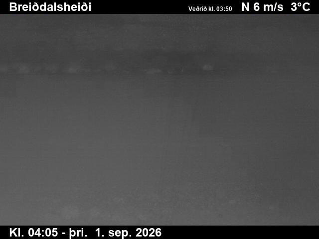 breiddalsheidi_2-1788242732.jpg