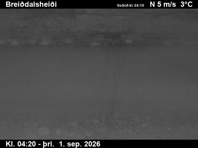 breiddalsheidi_2-1788243958.jpg