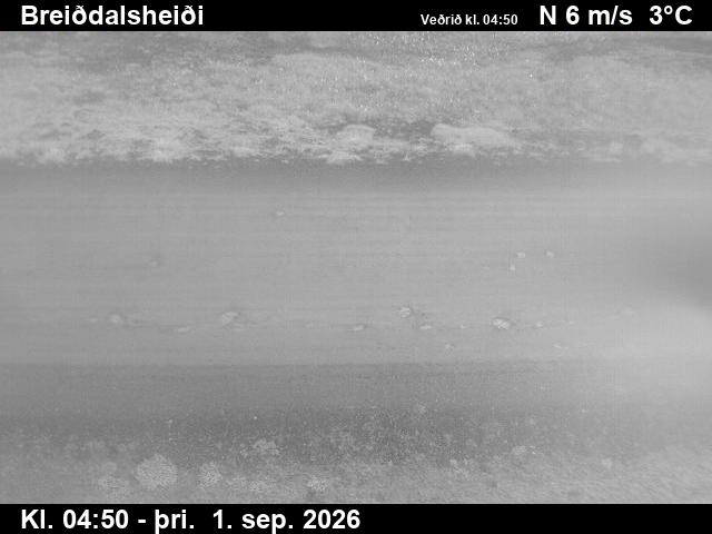 breiddalsheidi_2-1788246118.jpg