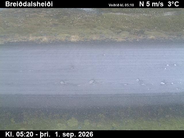 breiddalsheidi_2-1788247536.jpg