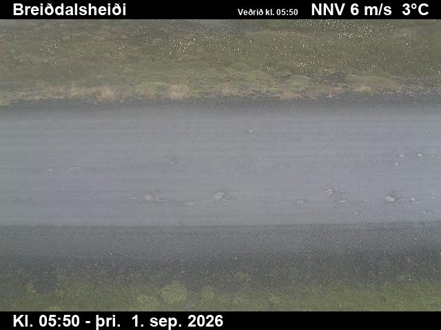 breiddalsheidi_2-1788249718.jpg