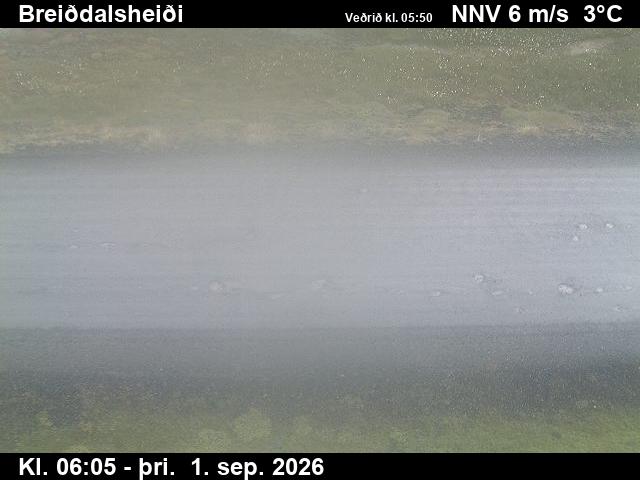 breiddalsheidi_2-1788249992.jpg