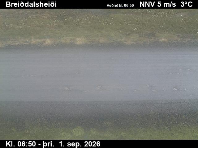 breiddalsheidi_2-1788253254.jpg