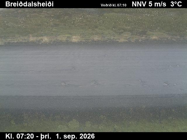 breiddalsheidi_2-1788254763.jpg