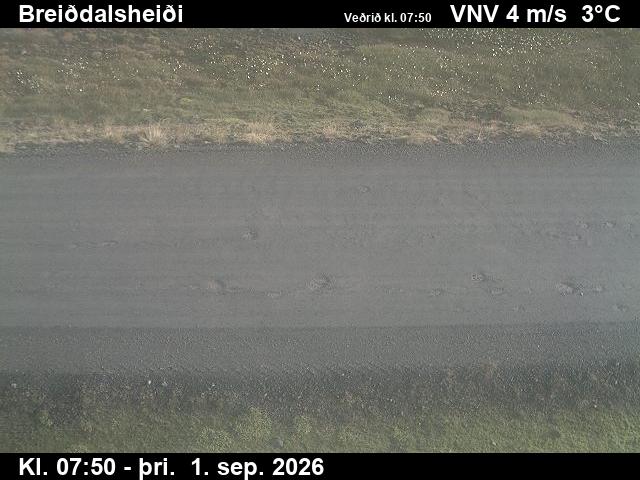 breiddalsheidi_2-1788256931.jpg