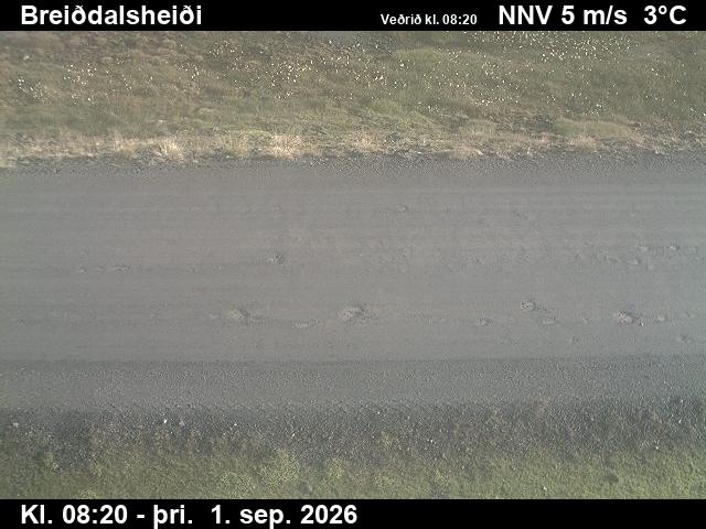 breiddalsheidi_2-1788258485.jpg