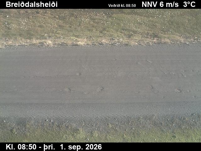 breiddalsheidi_2-1788260484.jpg