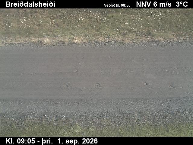 breiddalsheidi_2-1788260766.jpg