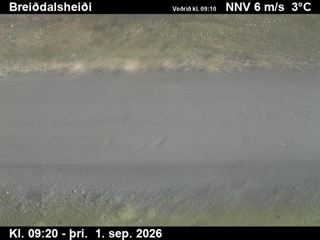 breiddalsheidi_2-1788261956.jpg