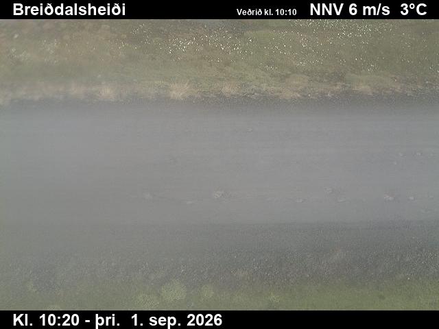 breiddalsheidi_2-1788265560.jpg