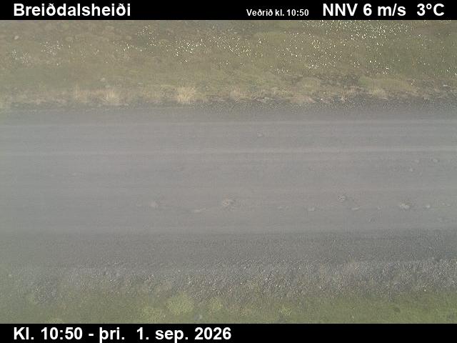 breiddalsheidi_2-1788267661.jpg