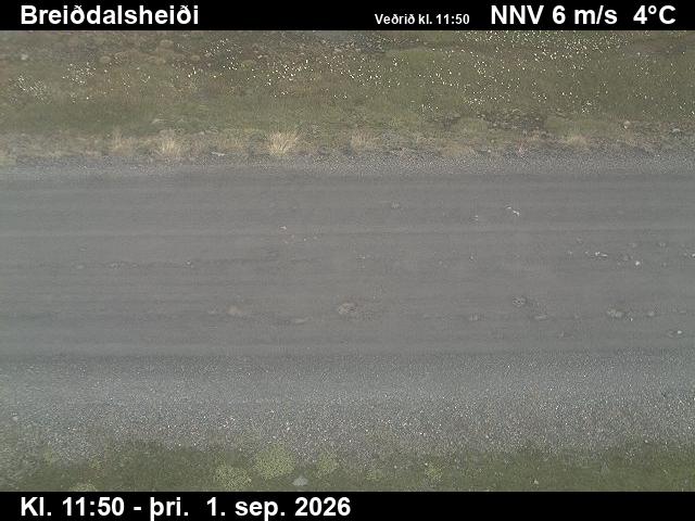 breiddalsheidi_2-1788271236.jpg