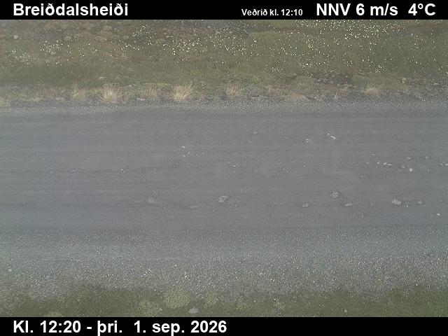 breiddalsheidi_2-1788272748.jpg