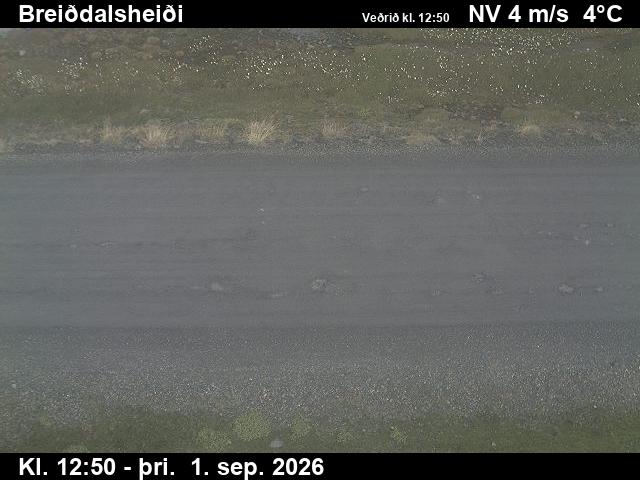 breiddalsheidi_2-1788274863.jpg