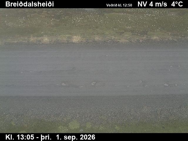 breiddalsheidi_2-1788275169.jpg