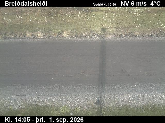 breiddalsheidi_2-1788278758.jpg