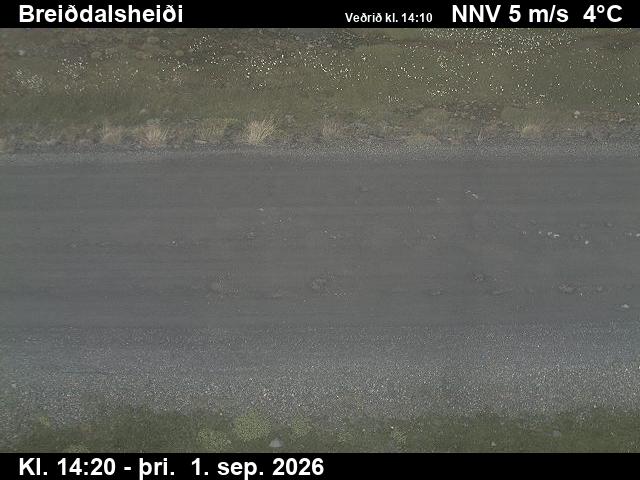 breiddalsheidi_2-1788279952.jpg