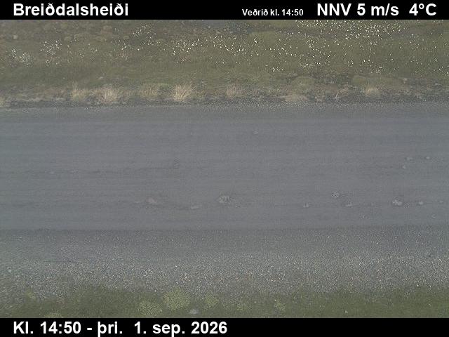 breiddalsheidi_2-1788282071.jpg