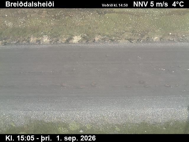 breiddalsheidi_2-1788282379.jpg