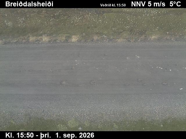 breiddalsheidi_2-1788285695.jpg