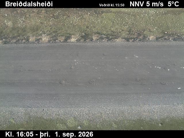 breiddalsheidi_2-1788285970.jpg